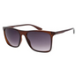 Blitz Brown Frame With Grey Lenses