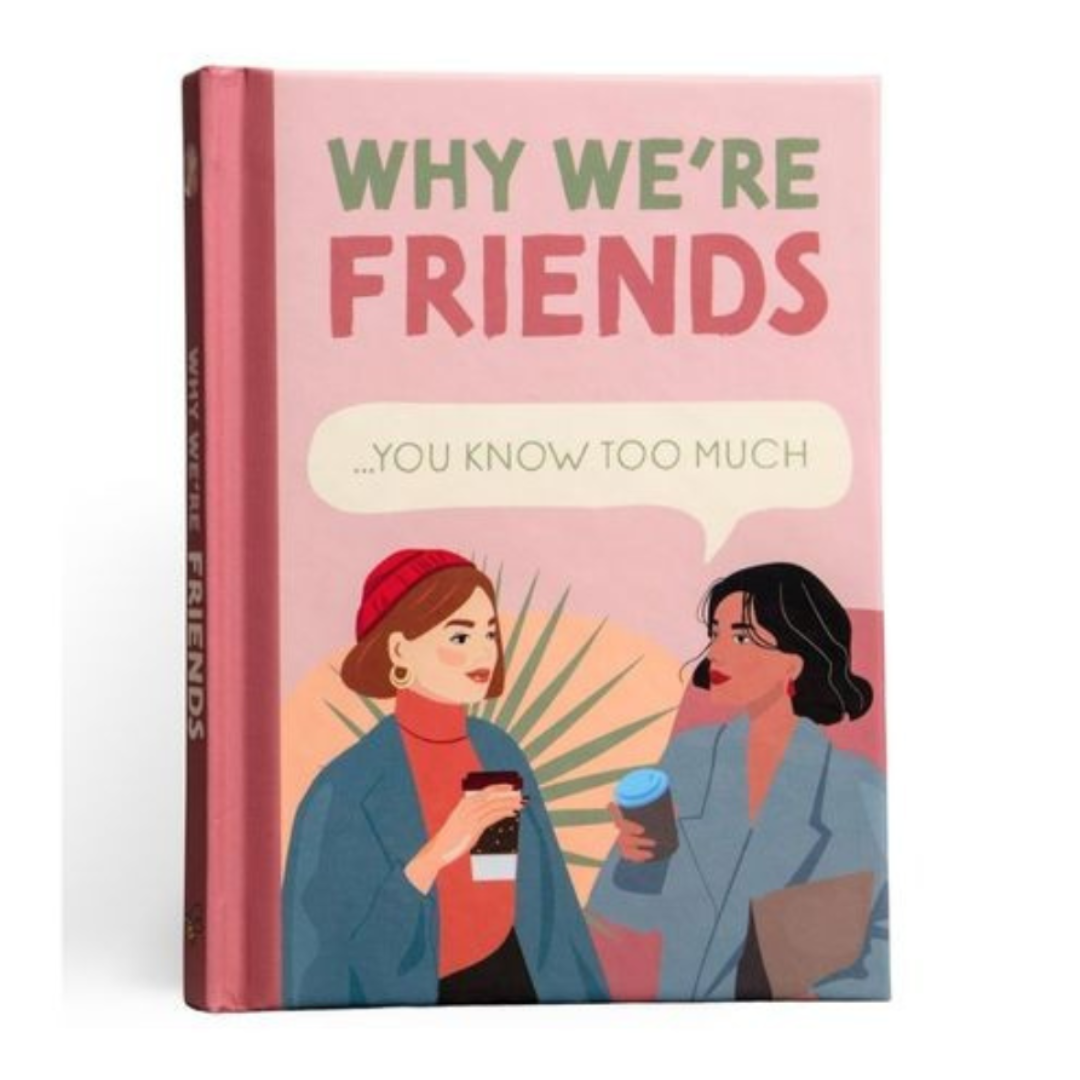 Why We're Friends Book