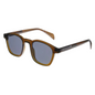 Ripley Tinted Clear Green Frame Sunglasses
