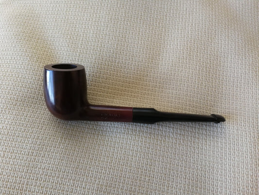 Pipe Dental