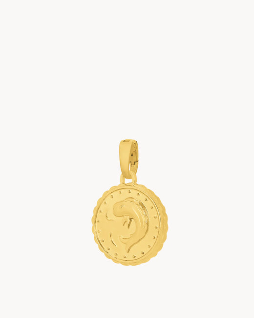 10 cent Munita + Herringbone Chain
