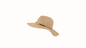 Atlanta Hat