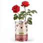 June Birth Flower - Personalised Grow Your Own Flower Gift