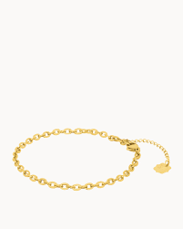 Shimmer Link Anklet