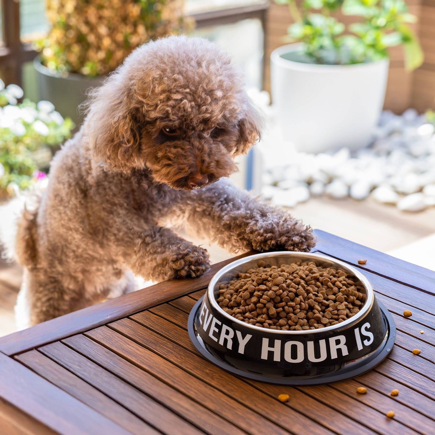 Every Hour Is Happy Hour Dog Bowl