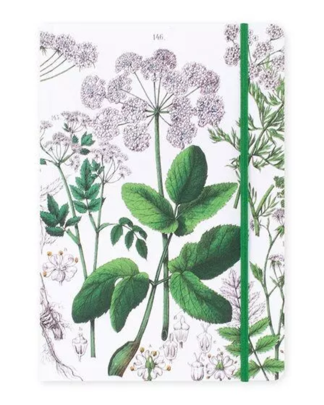 A5 Soft Cover ElderFlower