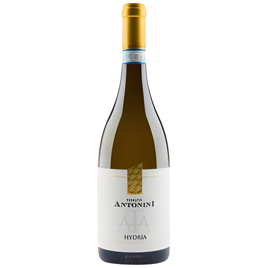 Antonin Hydria Abruzzo Pecorino