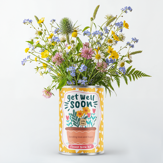 Get Well Soon Flower Grow Kit Gift