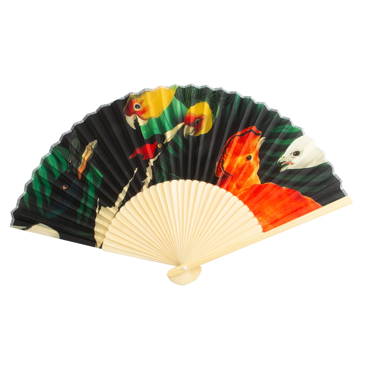 Birdlife hand fan