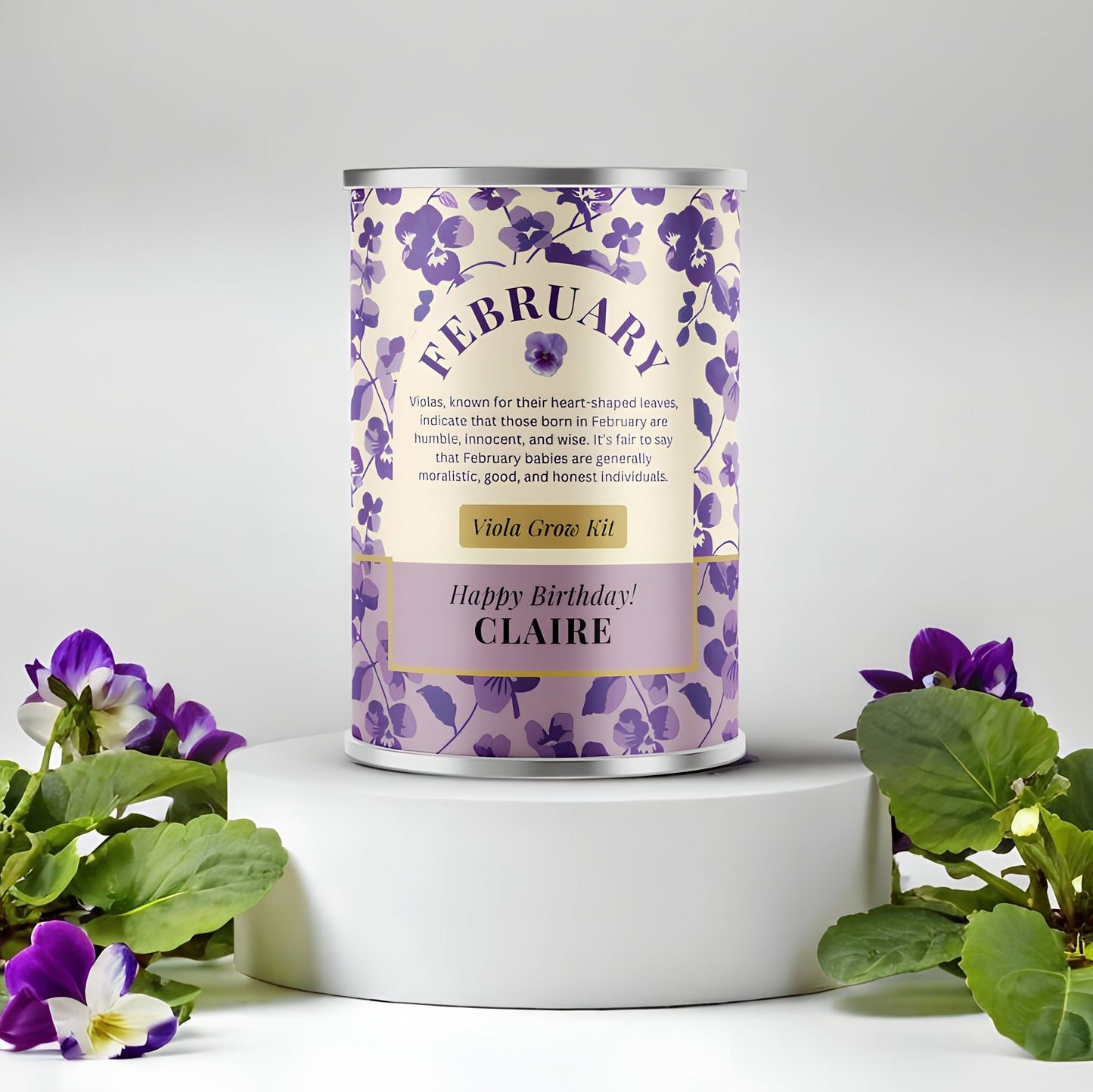 February Birth Flower - Grow Your Own Flower Gift