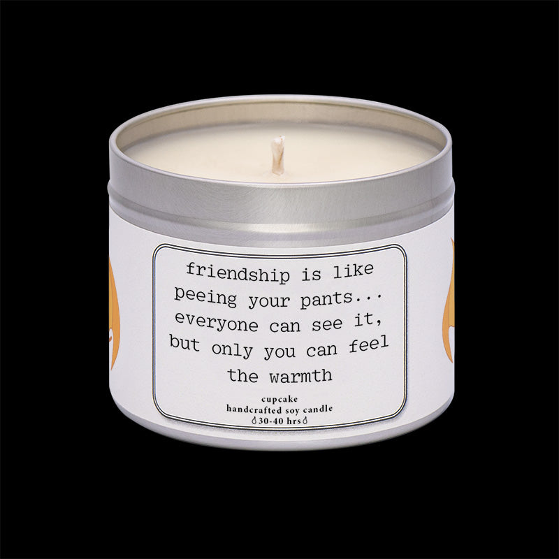 Friendship is like peeing your pants. Candle gift for friend. Handmade soy wax c