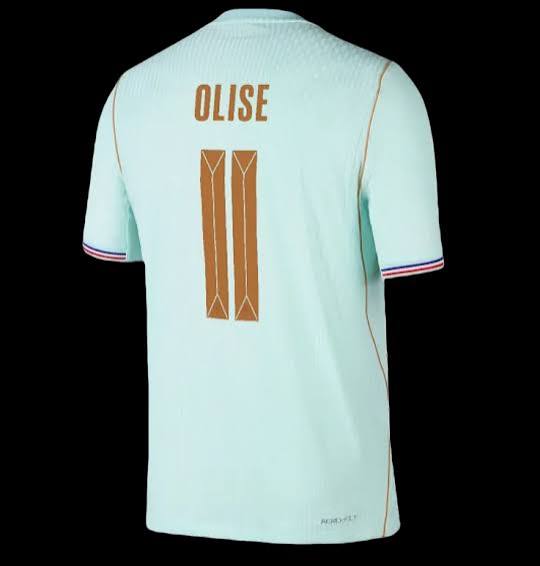 Football Kits France Green (L)
