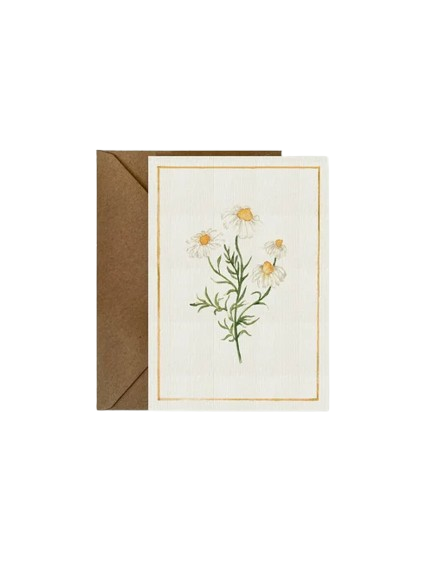 A6 Blank Card