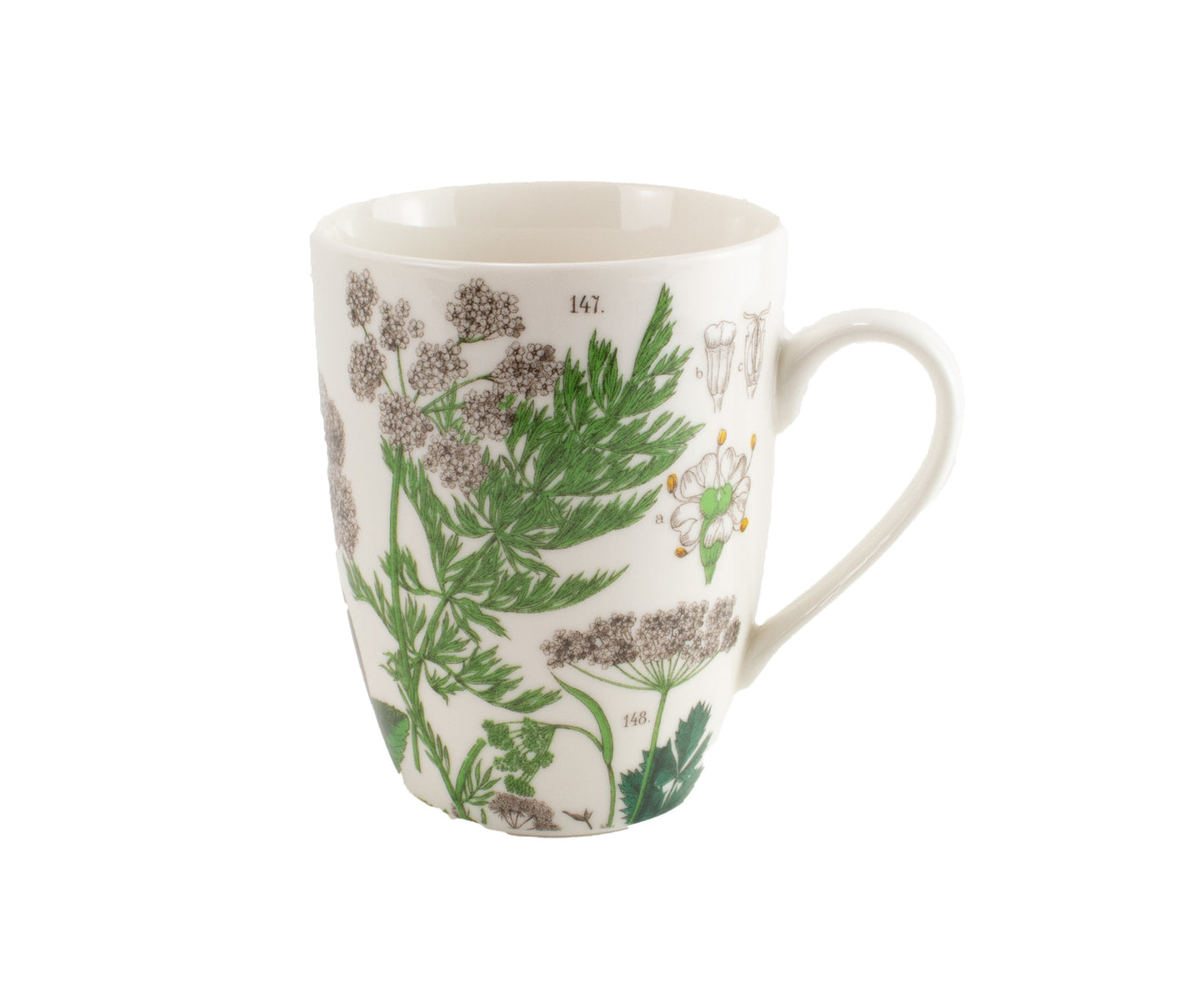 Hortus Botanicus Mug