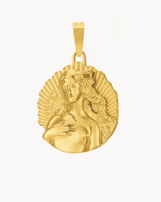 Venus Pendant + Herringbone